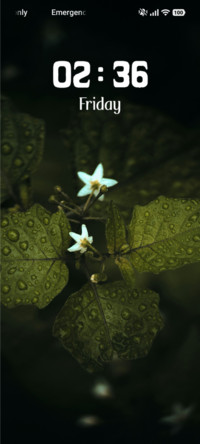 Water Droplets