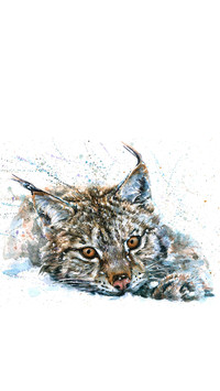 Wild Oil Painting
