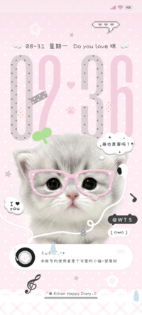 ins换色呆呆小猫