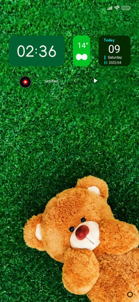 Teddy Si