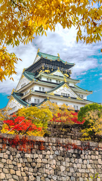 富士山下
