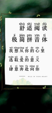 舒适阅读极简拼音体