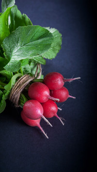 Which radish has high nutritional value 5