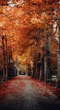Nature B5 (48)
