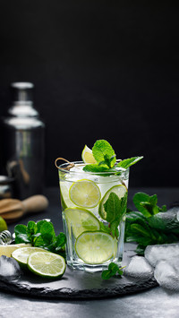 Refreshing Summer Alcoholic Cocktail Mojito with Fresh Mint