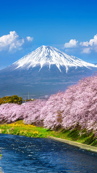 Scenery (12)