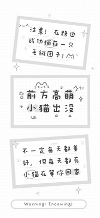 前方高萌小猫出没