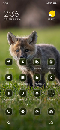 Baby Fox