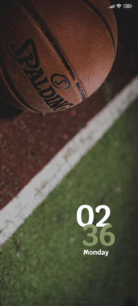 Basket Ball Court