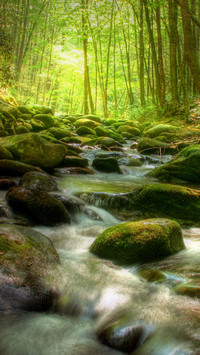 Natural rivers
