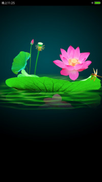 梦幻蝶恋花