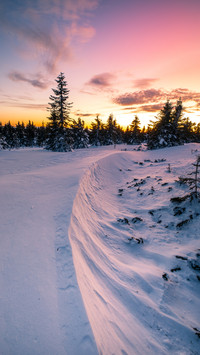 Winter Snow Scenery