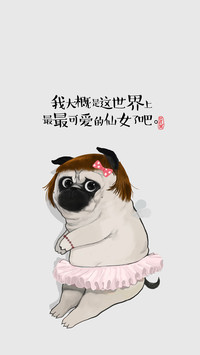 吾皇巴扎黑 (37)