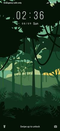 Jungle_3MDS