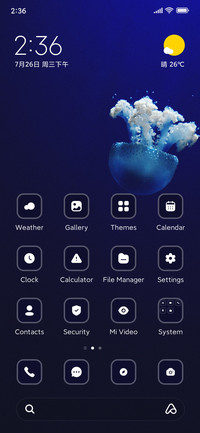 Jellyfish