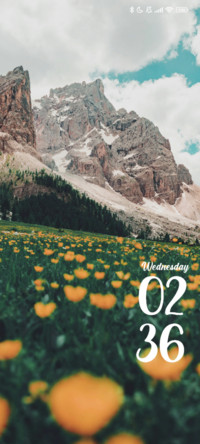 Moutain Flowers