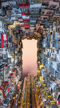 Why is Hong Kong called Hong Kong 38