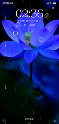 夏夜蓝莲花