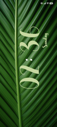 Palm Leaf