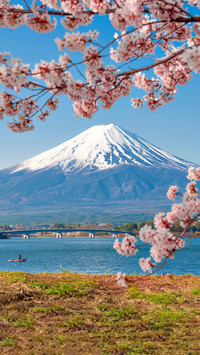 A oneday tour guide to mount fuji