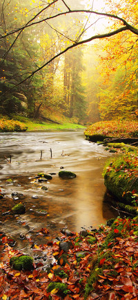 Beautiful Autumn-PAIXIN