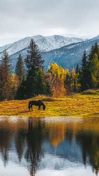 Altay xinjiang in autumn