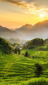 The sunrise over the yunhe terraced fields