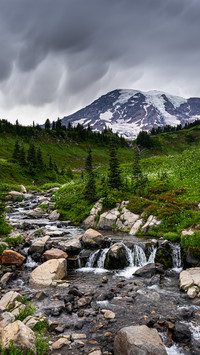 Mount rainier in seattle