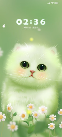 小雏菊丛中的小猫咪