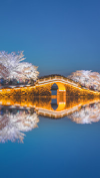 三月旅行地推荐
