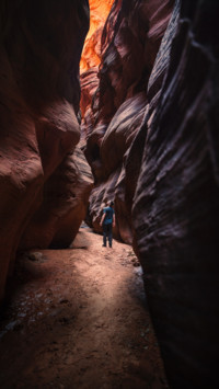 Adventure (10)