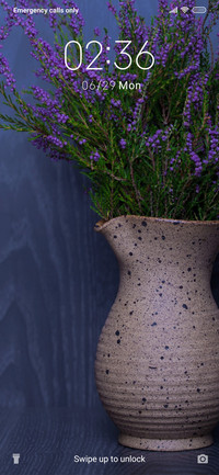 Lavender in vase_3MDS
