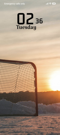 Frozen Goal