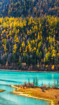 How climate change affects wetlands