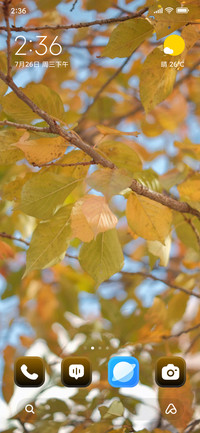 Golden Canopy