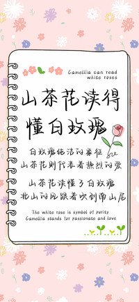 山茶花读得懂白玫瑰