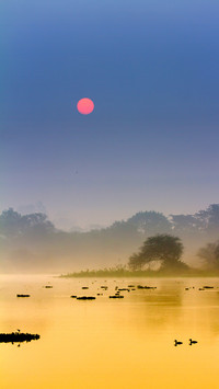 India-Misty Morning