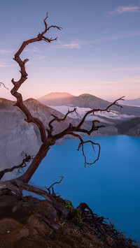 Volcanic blue lake and dead wood