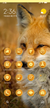 wildlife fox