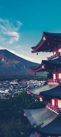 AP景深 宠物岛