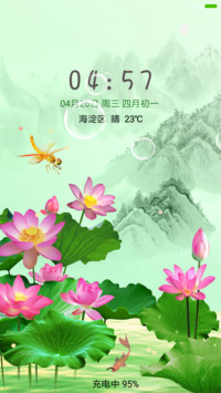 夏荷