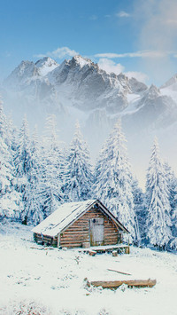 How to prevent cold and maintain health after snow