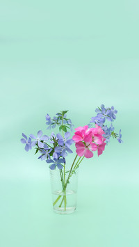 花香的由来？