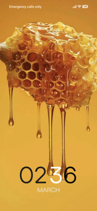Honey Drip ?
