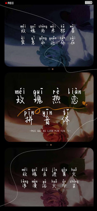 玫瑰热恋拼音体