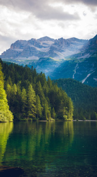Beauty of Earth (11)