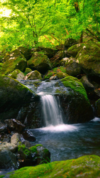 Waterfalls in the forest