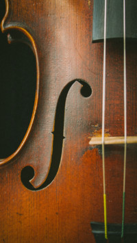 Macro  (9)