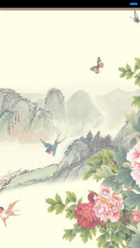 牡丹花