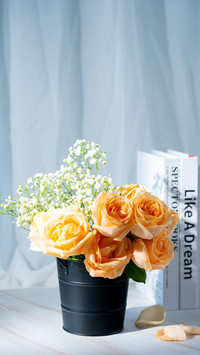 Champagne Rose